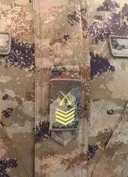 苏州大面外墙建议图案比例协调